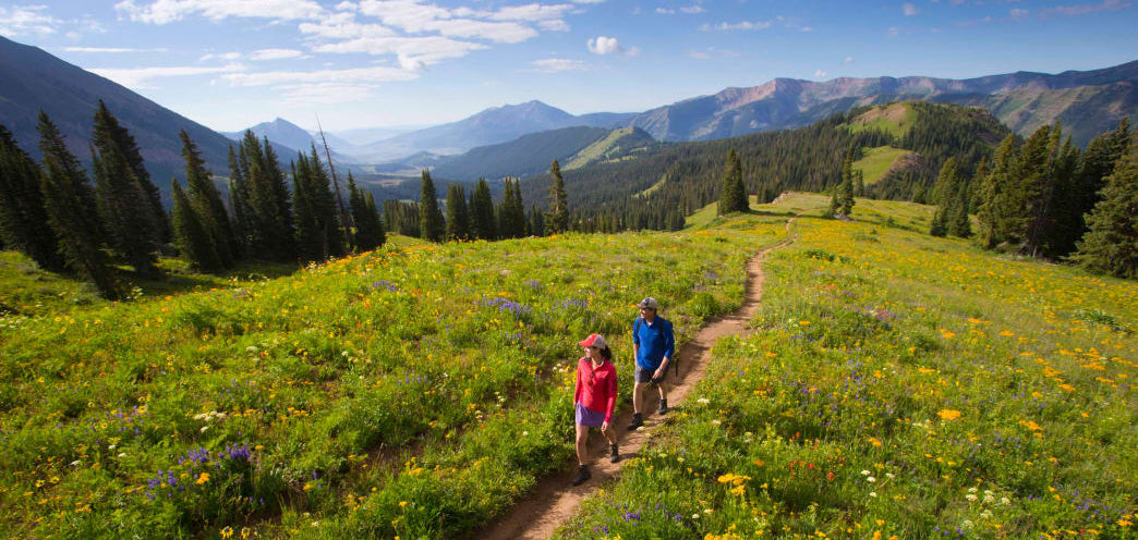 Six Amazing Wildflower Hikes in Colorado
