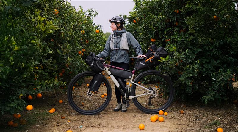 A cyclist in rain gear stands beside a fully loaded bikepacking bicycle between rows of orange trees, surrounded by fallen oranges on the ground.