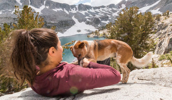 How to Travel 18,000 Miles With Your Dog