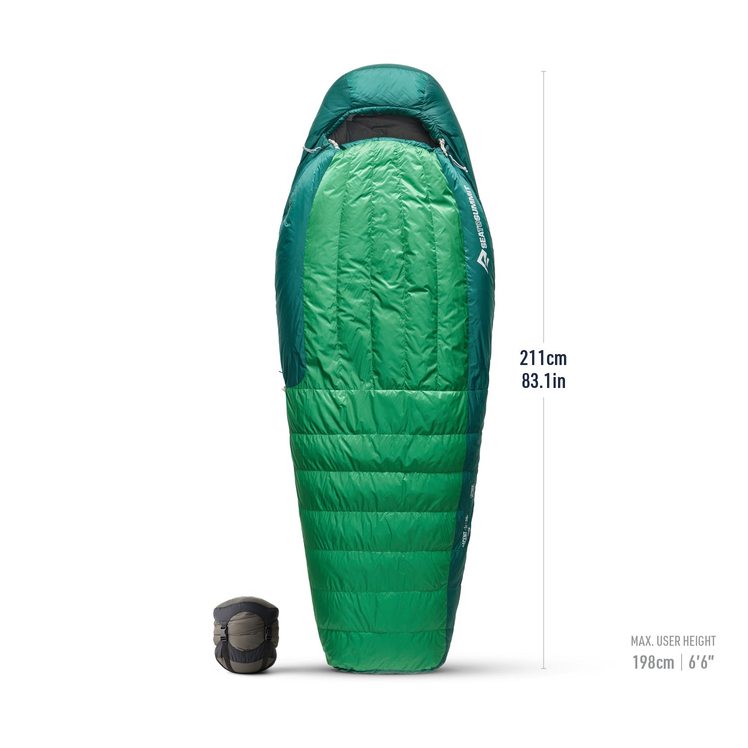 -1°C / Long || Ascent Down Sleeping Bag