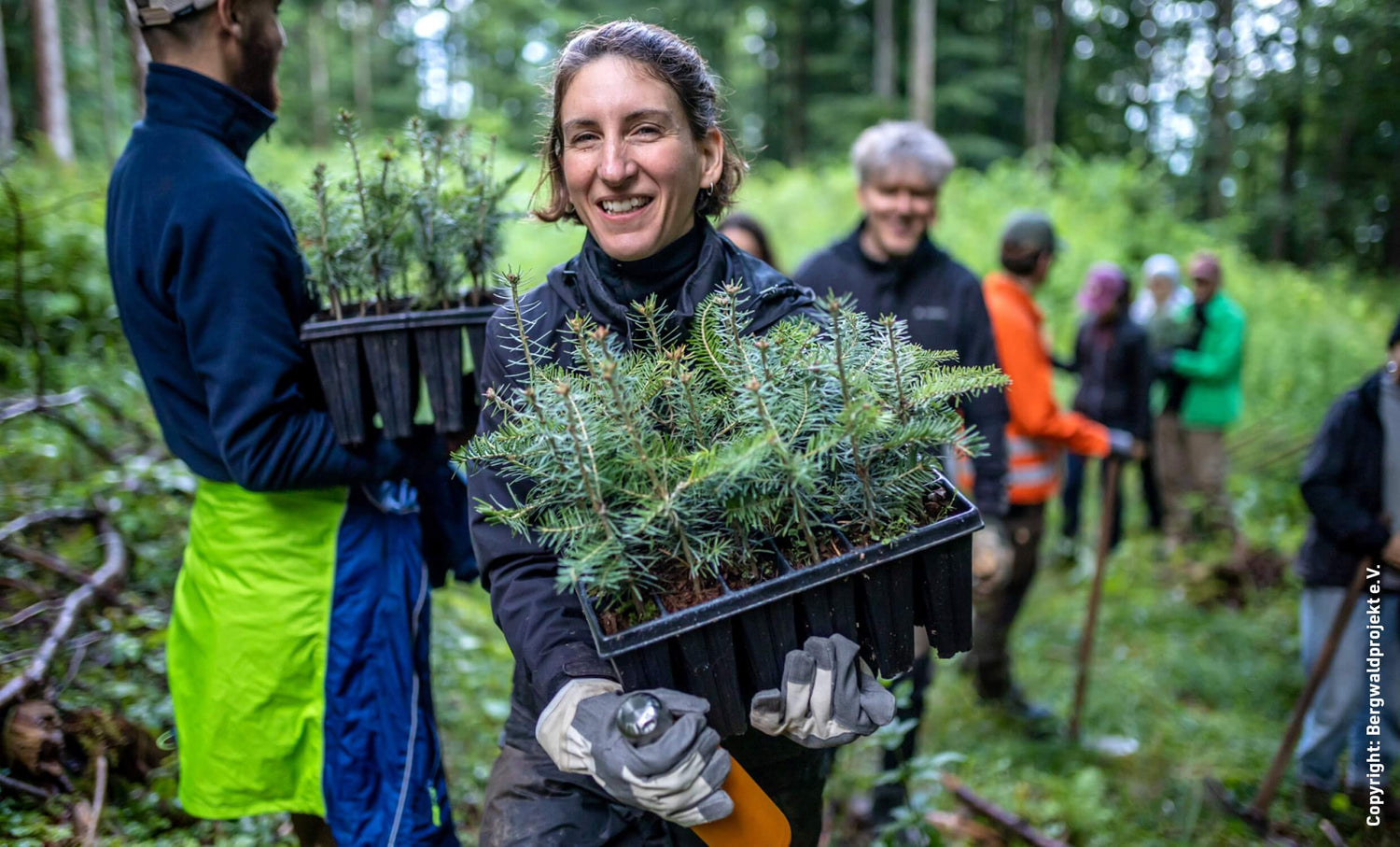 Smiling woman holding a tray of young conifer seedlings, standing among a group of volunteers in a forest.
