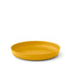 Arrowwood Yellow || Passage Plate